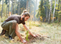 Quelles espèces d'arbres choisir pour une forêt d'investissement ?