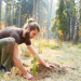 Quelles espèces d'arbres choisir pour une forêt d'investissement ?