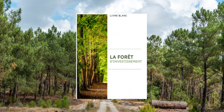 la couverture du livre blanc sur la forêt d'investissement sur fond de forêt